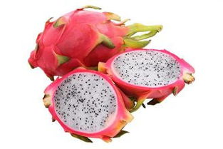 红龙果树，生命的火焰