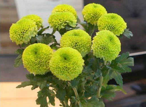 剪花杆，长短有讲究