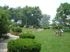 常绿与开花， 四季的变换之美