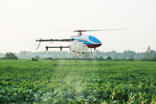 一、高温季节使用农药注意...