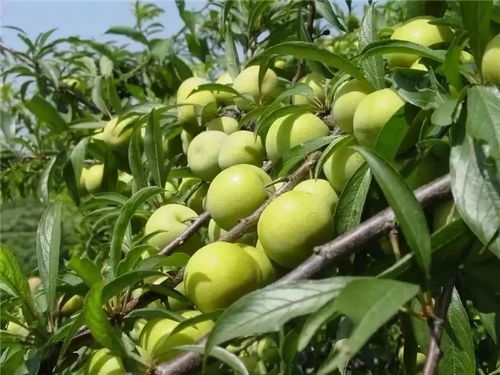 信息海洋里的点点滴滴