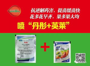 杨树敏感除草剂的使用注意事项