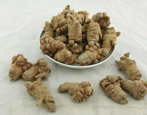 田七和三七有何不同？揭秘选购之谜