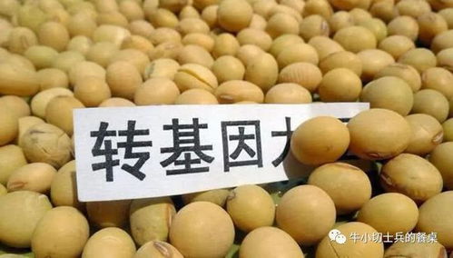 历史与现实的对比