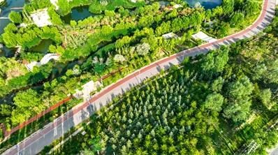 杭州绿意盎然 数字背后的秘密