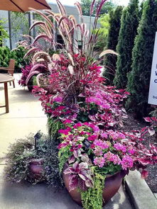 竹子的故乡， 花的海洋