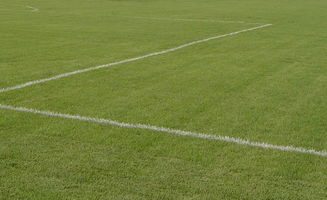 铅球场承受力惊人， 草种需经得起考验