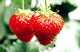 农药残留进入人体后会对身体造成什么危害？