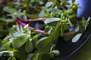 第二步：纸巾现原形