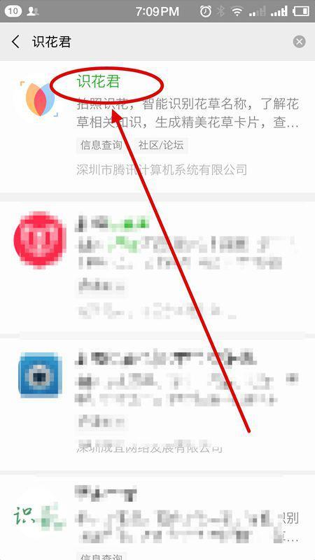 探秘植物王国：拍照识别花草软件大盘点