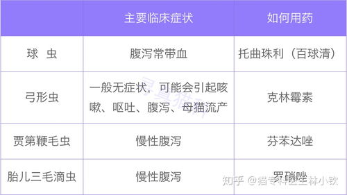养猪场驱虫模式与药物选型对比