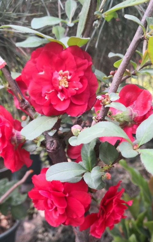 一、 选择合适的时机