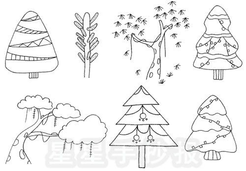 松树的坚韧象征