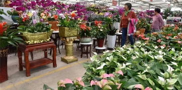 避坑清单，避免上当受骗