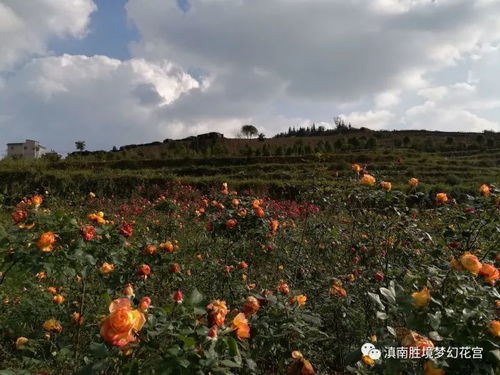 规格与价格，一目了然