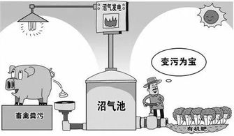 有机肥厂建设记：畜禽粪污变废为宝