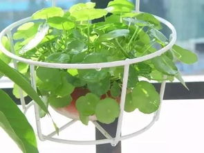 家装市场， 也需谨慎选择