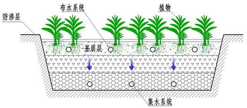 植物和微生物的奇妙合作