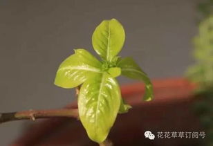 其他原因，也得注意啊