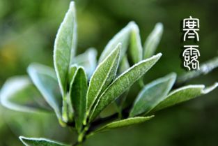 养花与炒菜同理