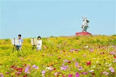 广东秋天赏花宝典：花海美得犯规吗？岭南秋色传说还是现实？