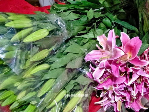 昆明鲜花买完怎么托运？拆分后如何安全保存