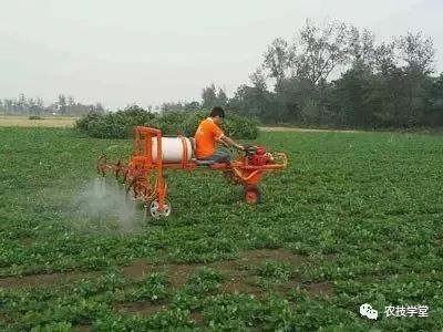 早上的小秘密， 傍晚的小优势