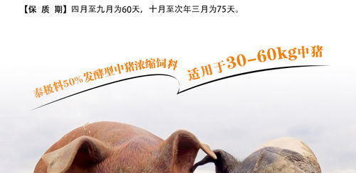 为什么发酵饲料不加这些菌，我家猪崽却总是挑食，这是怎么回事呢？