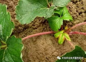 解决方法，你学会了吗？