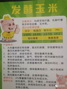 乳酸菌片能用于发酵饲料吗？新手如何操作指南？