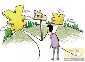 全球危机下，中国中小饲料企业转型与突破之道