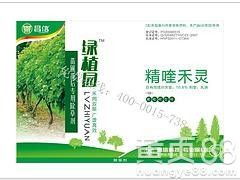 晴天 温度高时早上、晚上都行