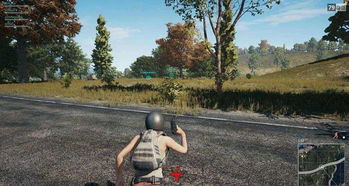 多肉植物里的生存法则