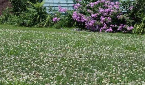 环境因素， 各不相同