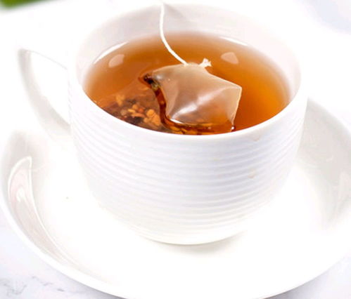 试验种子， 观察变化