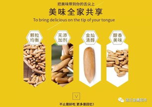 杏仁的降雨量要求