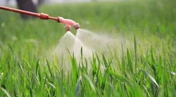 喷洒时间，得选对时机