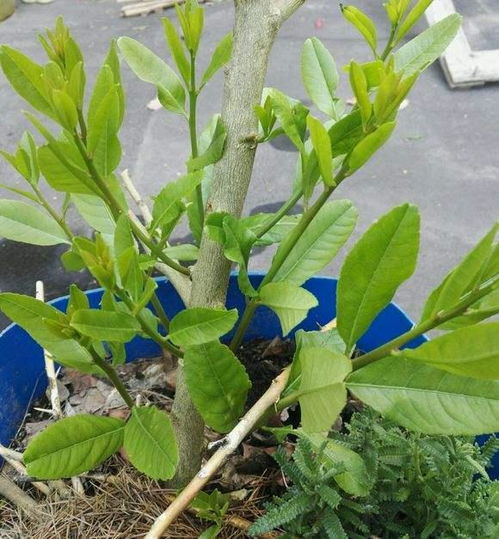 后来啊那些事儿