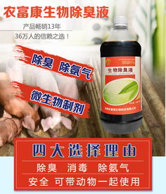 不同品牌的价格对比
