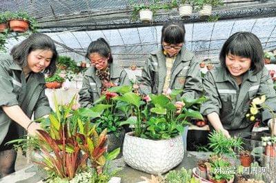 上周路过街心公园， 堪见新来的绿化工正对照手机视频学修剪，突然想起《园冶》里