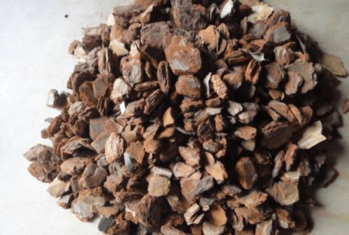 第一步：收集松树皮