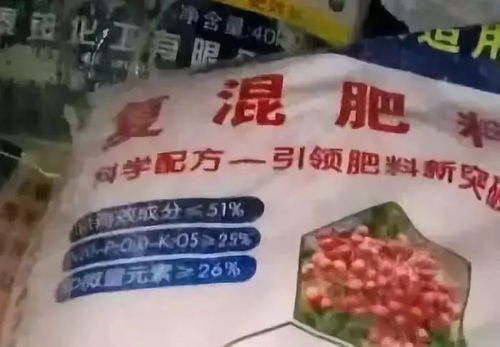 “如何根据米兰生长习性选择最合适的肥料