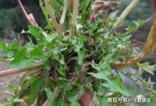 注意！广州从化老周的血泪教训