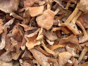 补贴名录里的秘密