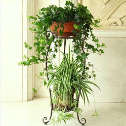 花架上摆什么摆件，效果图才嫩梗完美？