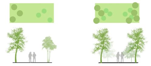 染后是那些植物