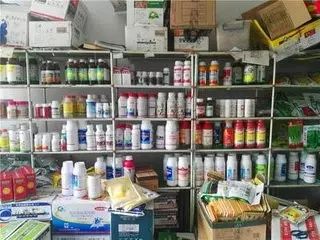 湛江农药市场的踪迹