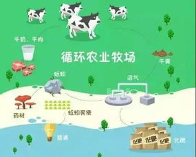 猪饲料跨界种菜，猪菜同生循环农业模式效益如何？