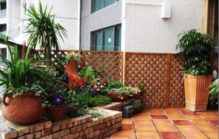 邻居老刘的阳台草坪， 三个月没浇水还嫩长得好