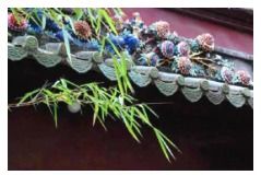 一、 潮汕地区气候特点